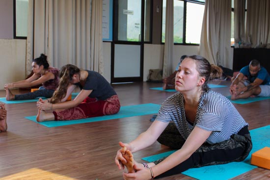 200 Hour Yoga Insititute in Rishikesh