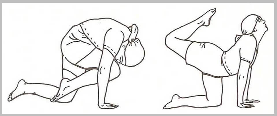 Vyaghrasana Benefit