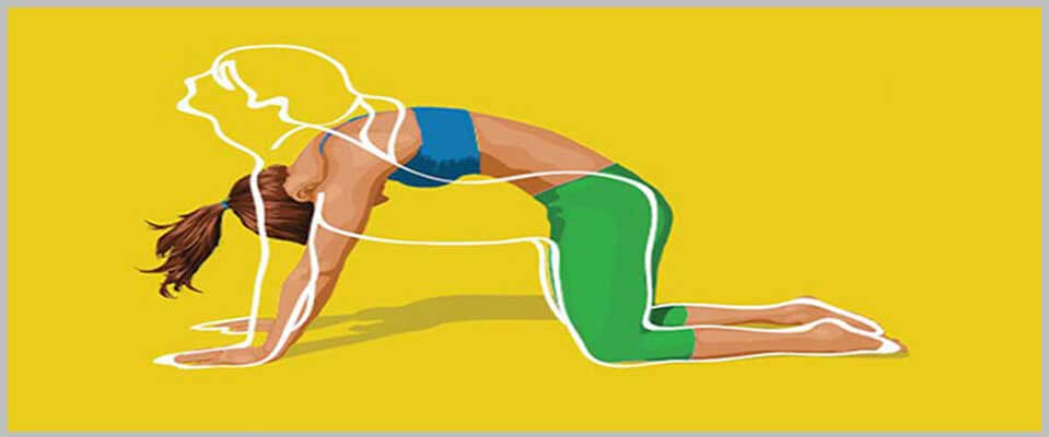 Cat Pose Benefits (Marjariasana)